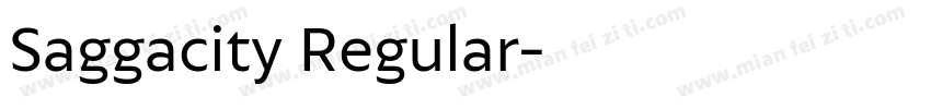 Saggacity Regular字体转换